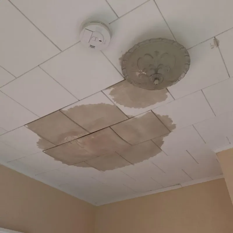 Ceiling Water Damage Repair in Jefferson Hills, PA
